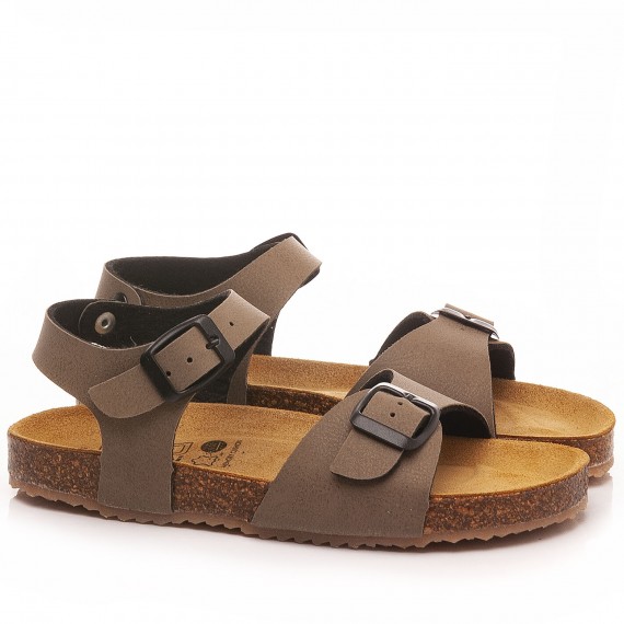 Balocchi Sandals 125019